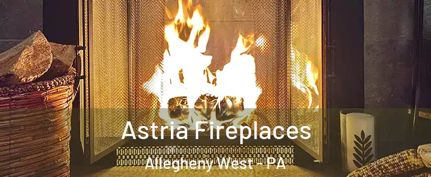 Astria Fireplaces Allegheny West - PA