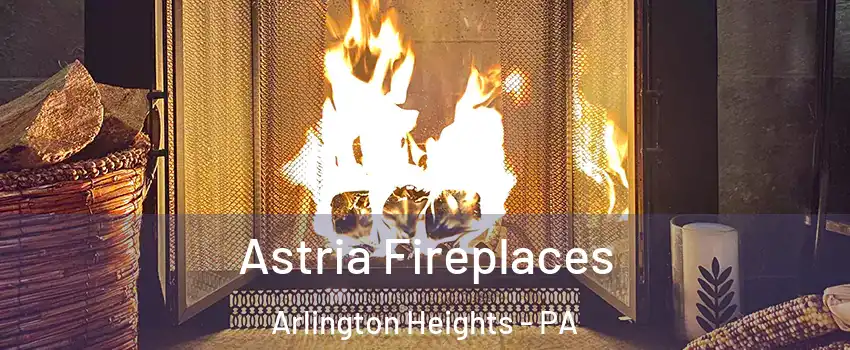 Astria Fireplaces Arlington Heights - PA