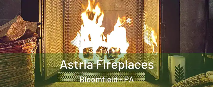 Astria Fireplaces Bloomfield - PA