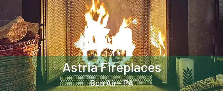 Astria Fireplaces Bon Air - PA