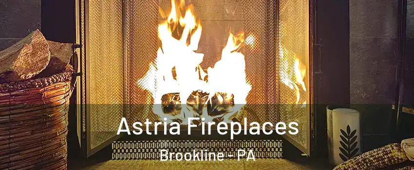 Astria Fireplaces Brookline - PA