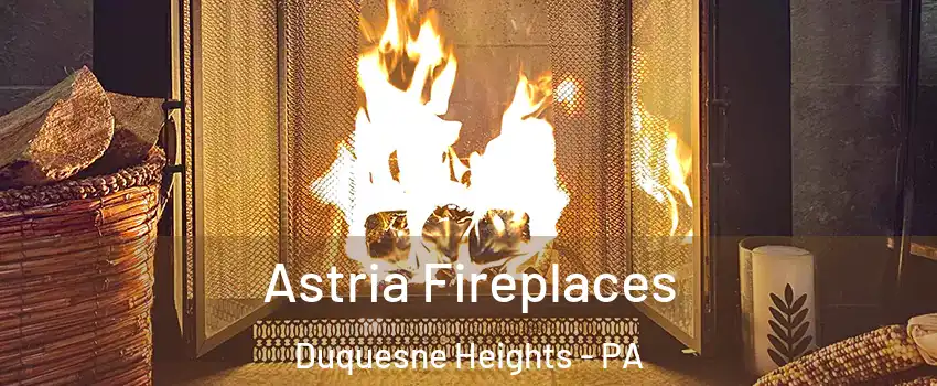 Astria Fireplaces Duquesne Heights - PA