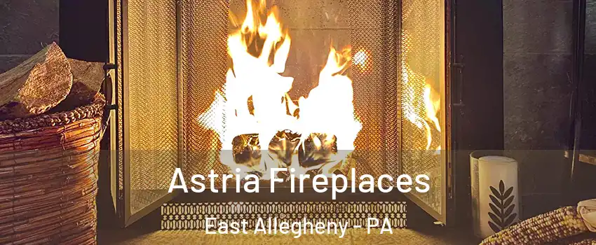 Astria Fireplaces East Allegheny - PA