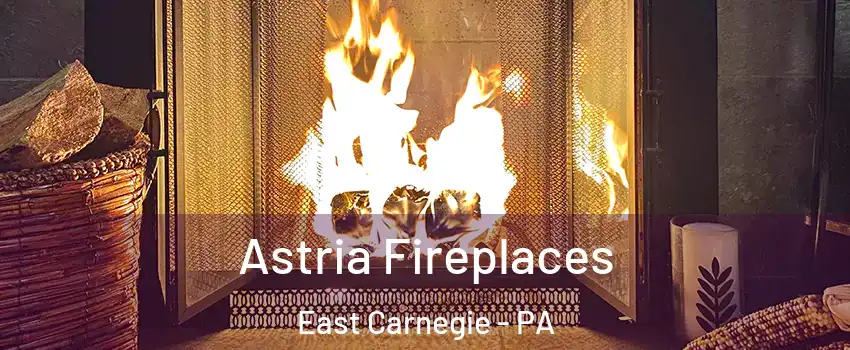 Astria Fireplaces East Carnegie - PA
