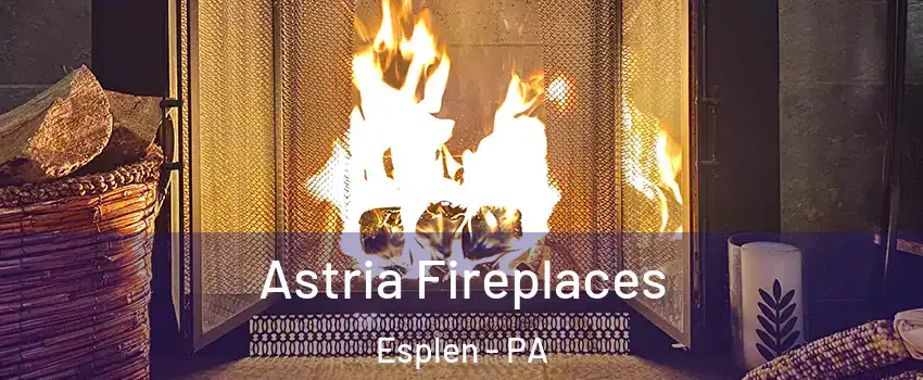 Astria Fireplaces Esplen - PA