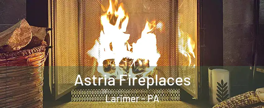 Astria Fireplaces Larimer - PA