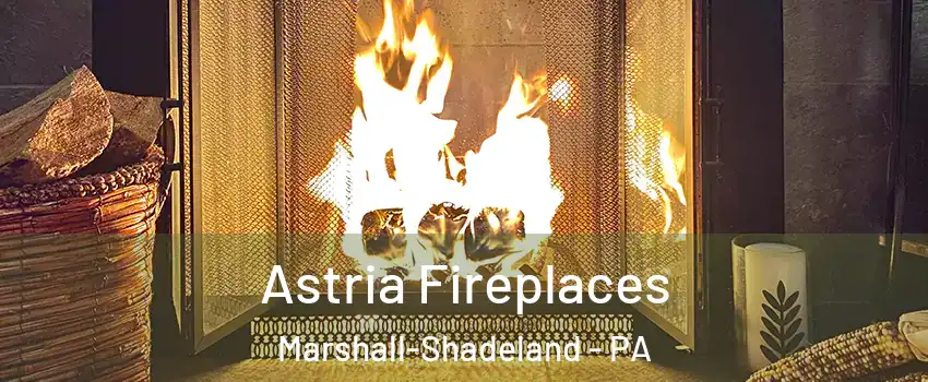 Astria Fireplaces Marshall-Shadeland - PA