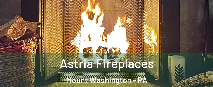 Astria Fireplaces Mount Washington - PA
