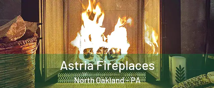 Astria Fireplaces North Oakland - PA