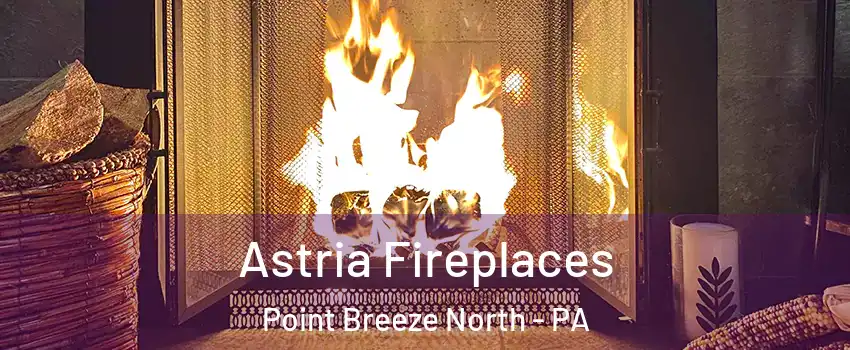 Astria Fireplaces Point Breeze North - PA