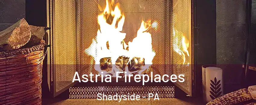 Astria Fireplaces Shadyside - PA
