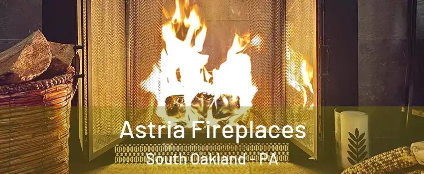 Astria Fireplaces South Oakland - PA