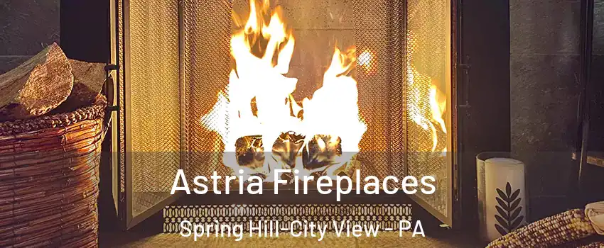 Astria Fireplaces Spring Hill-City View - PA
