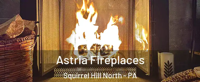 Astria Fireplaces Squirrel Hill North - PA
