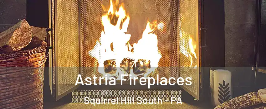 Astria Fireplaces Squirrel Hill South - PA