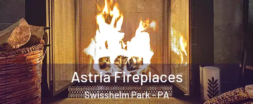 Astria Fireplaces Swisshelm Park - PA