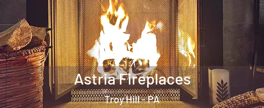 Astria Fireplaces Troy Hill - PA