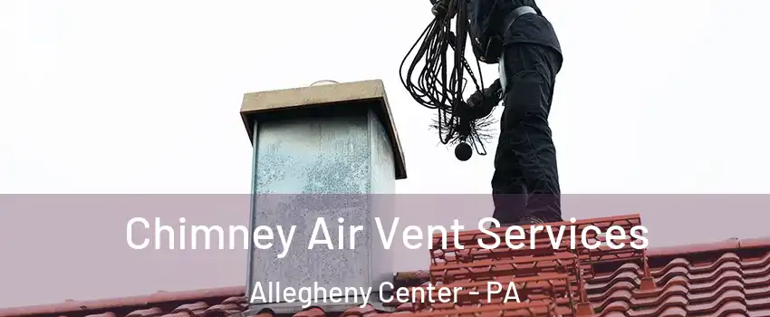 Chimney Air Vent Services Allegheny Center - PA