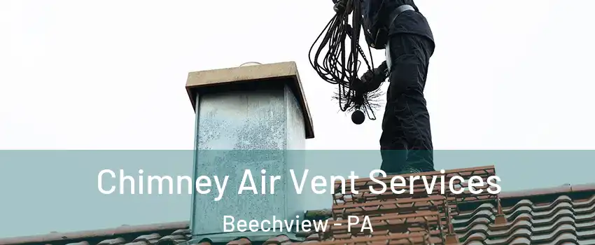 Chimney Air Vent Services Beechview - PA