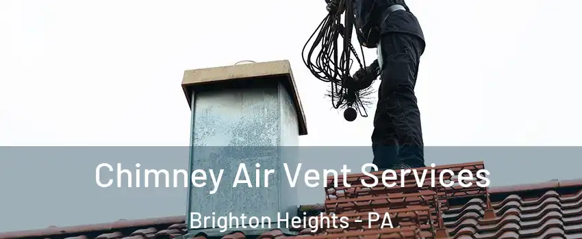 Chimney Air Vent Services Brighton Heights - PA