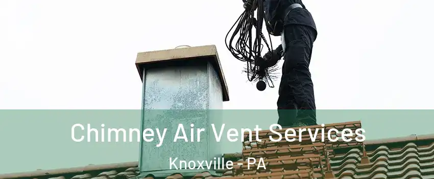 Chimney Air Vent Services Knoxville - PA
