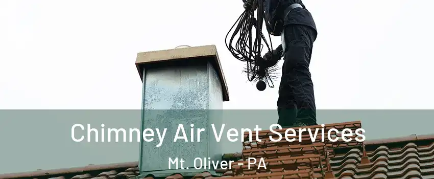 Chimney Air Vent Services Mt. Oliver - PA