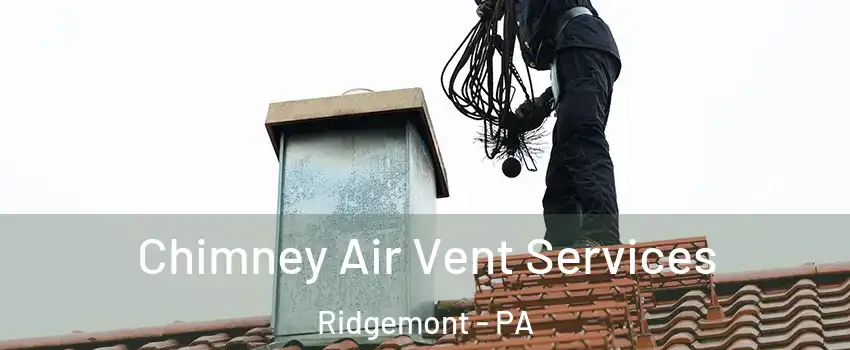 Chimney Air Vent Services Ridgemont - PA