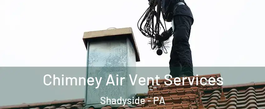 Chimney Air Vent Services Shadyside - PA