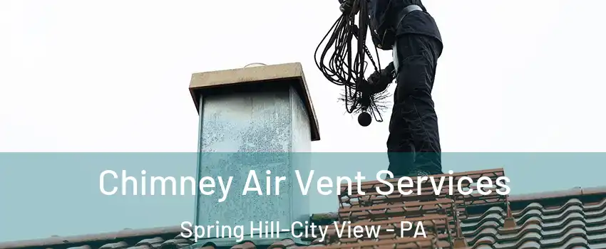 Chimney Air Vent Services Spring Hill-City View - PA