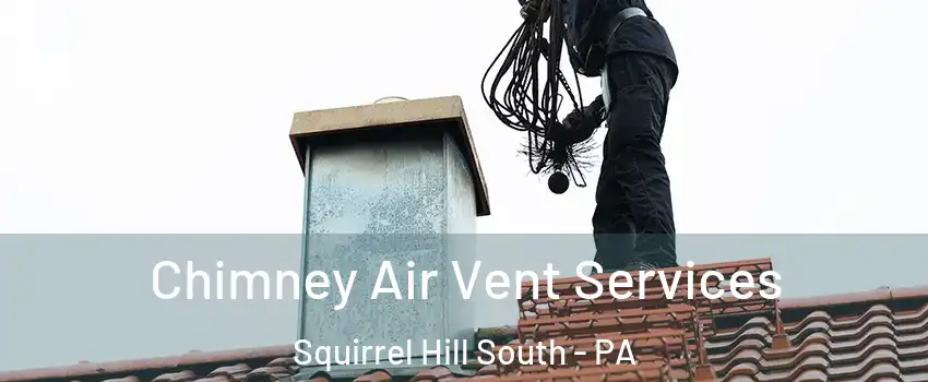 Chimney Air Vent Services Squirrel Hill South - PA