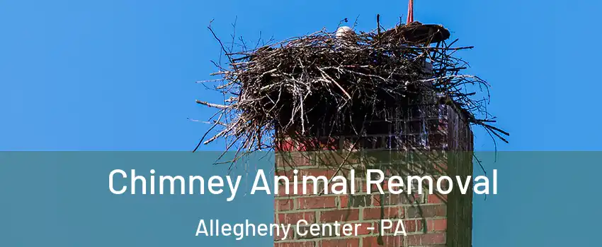 Chimney Animal Removal Allegheny Center - PA
