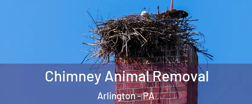 Chimney Animal Removal Arlington - PA