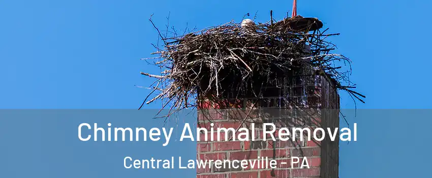 Chimney Animal Removal Central Lawrenceville - PA