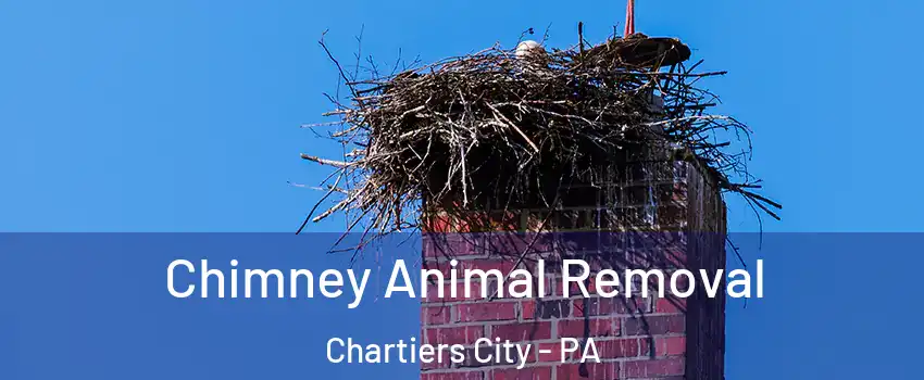 Chimney Animal Removal Chartiers City - PA