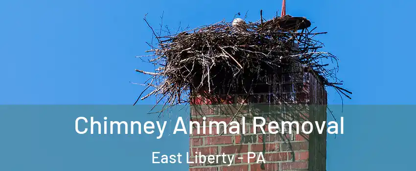 Chimney Animal Removal East Liberty - PA
