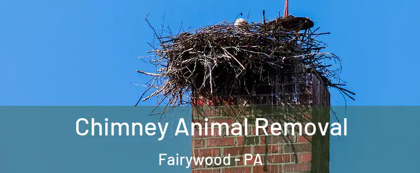 Chimney Animal Removal Fairywood - PA