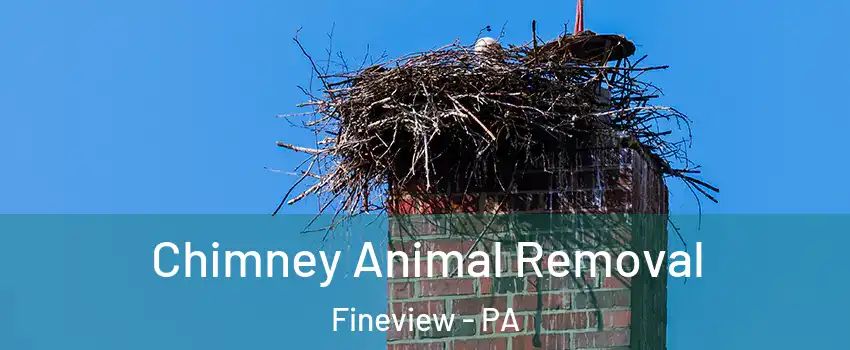 Chimney Animal Removal Fineview - PA