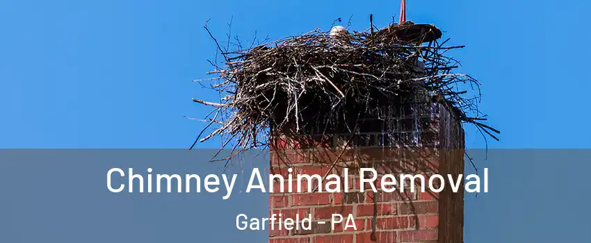 Chimney Animal Removal Garfield - PA