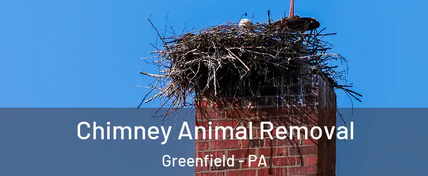 Chimney Animal Removal Greenfield - PA