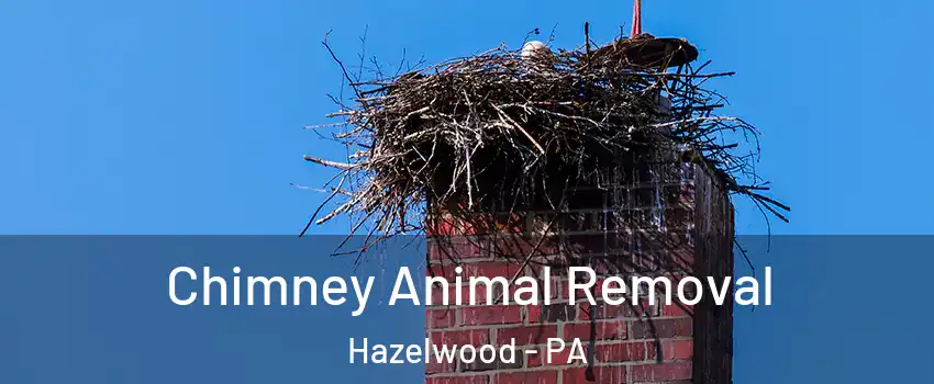 Chimney Animal Removal Hazelwood - PA