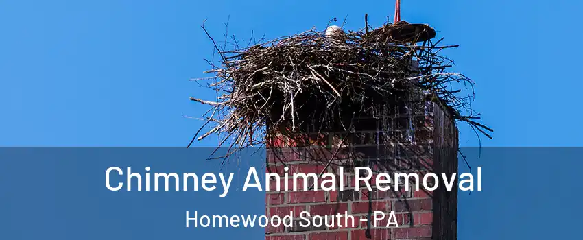 Chimney Animal Removal Homewood South - PA
