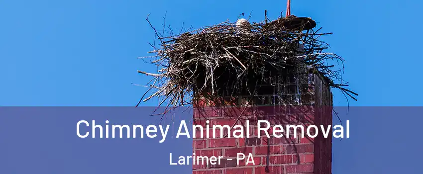 Chimney Animal Removal Larimer - PA