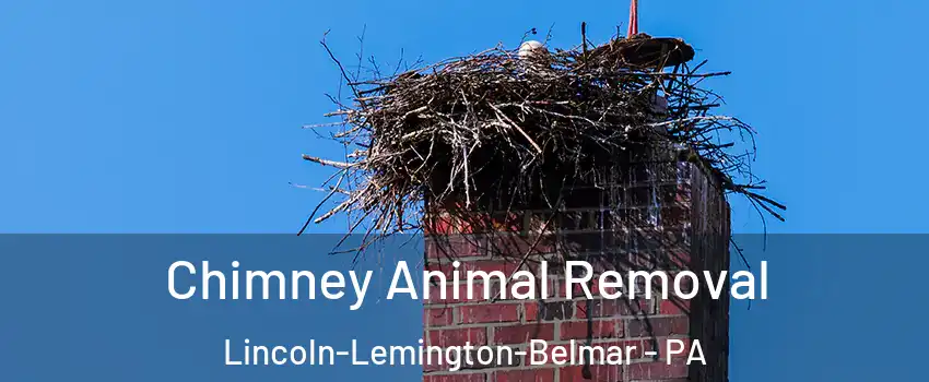 Chimney Animal Removal Lincoln-Lemington-Belmar - PA