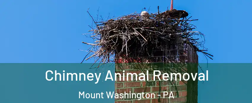Chimney Animal Removal Mount Washington - PA