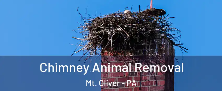 Chimney Animal Removal Mt. Oliver - PA