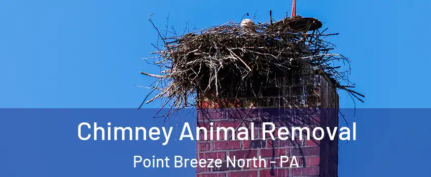Chimney Animal Removal Point Breeze North - PA