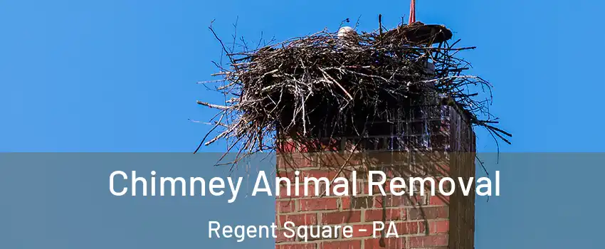 Chimney Animal Removal Regent Square - PA