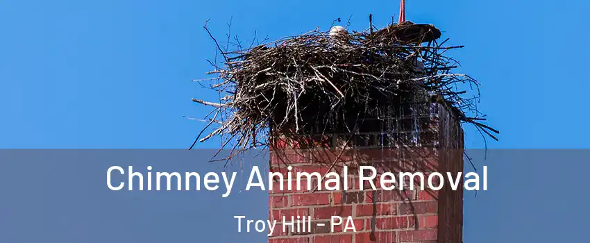 Chimney Animal Removal Troy Hill - PA