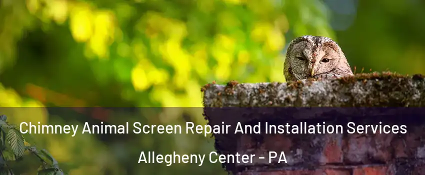 Chimney Animal Screen Repair And Installation Services Allegheny Center - PA