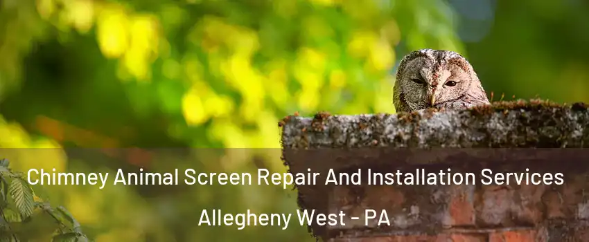 Chimney Animal Screen Repair And Installation Services Allegheny West - PA